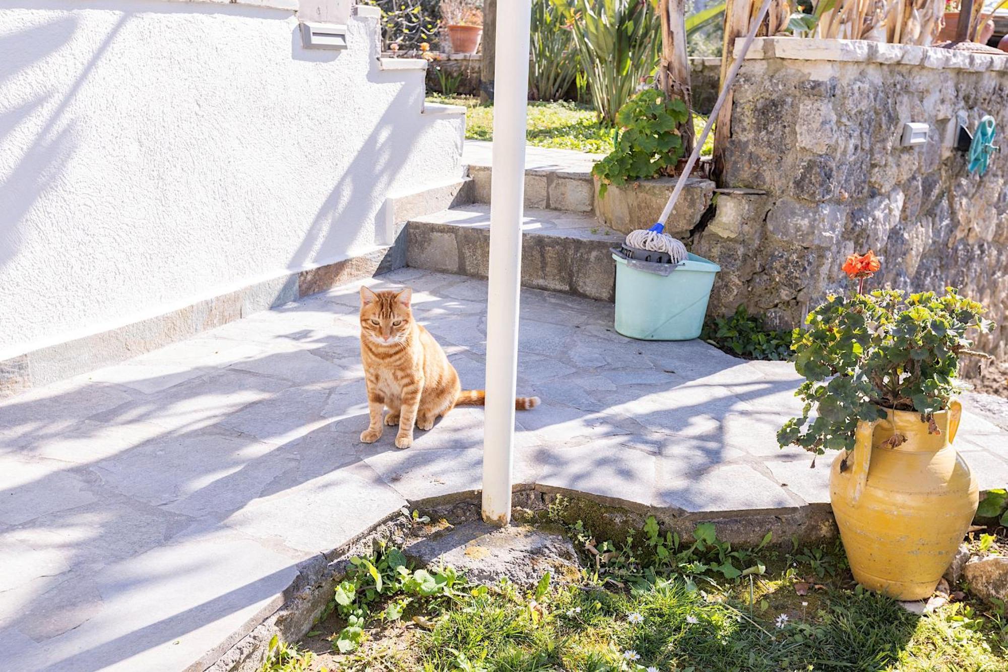 Ad Homes アギオス・ゴルディオス エクステリア 写真